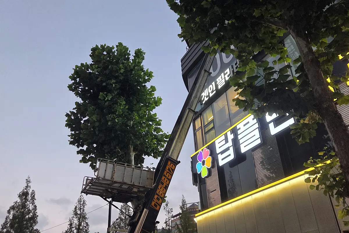 시흥 쓰레기청소 가격 현장 사진 3