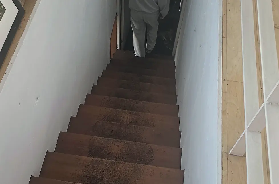 도봉구 방역소독 진행 모습 2