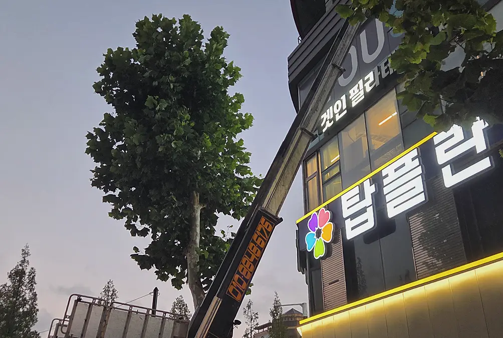오산 주택 특수청소 업체 시공 후