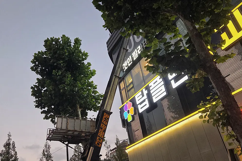 분당 침수청소 비용 기준 진행 모습 4