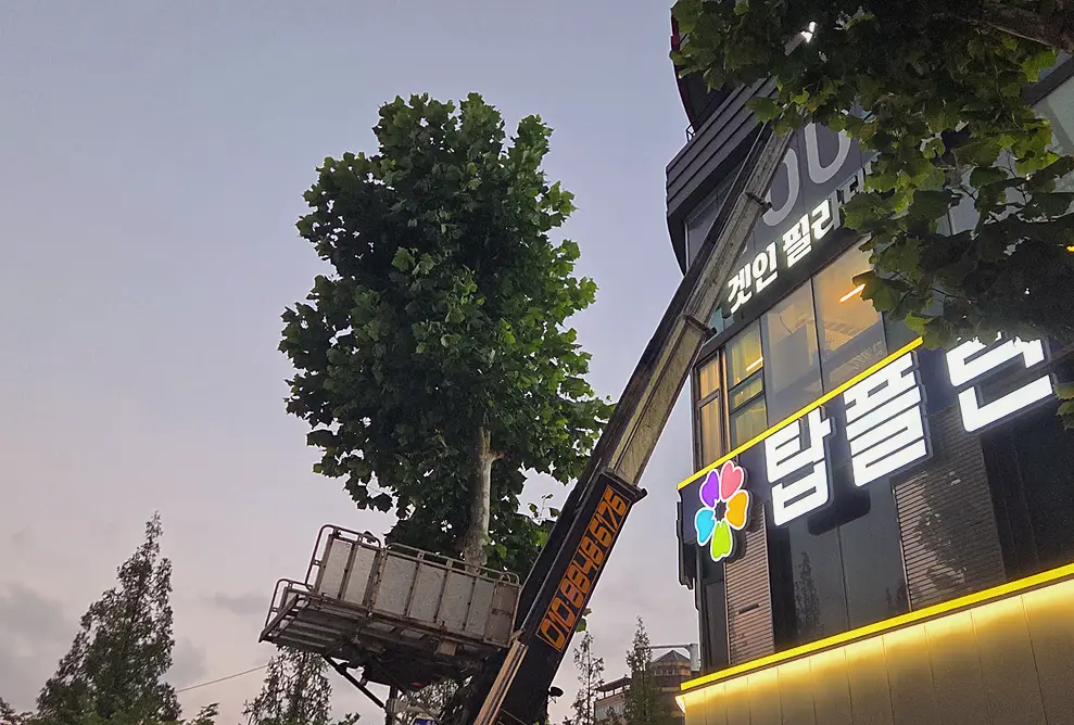 김포 원룸 방역소독 현장 사진 2
